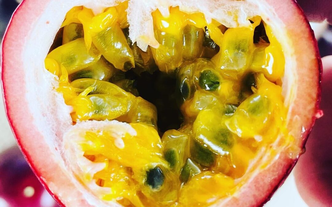 【沖縄県産パッションフルーツ】